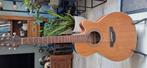 Takamine GN20CE NS, Muziek en Instrumenten, Snaarinstrumenten | Gitaren | Akoestisch, Ophalen, Zo goed als nieuw, Western- of Steelstringgitaar
