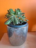 Zgan zilverkleurige bloempot, Ophalen of Verzenden, Zo goed als nieuw, Rond, Minder dan 25 cm
