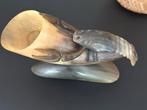 Vintage Hoornen met Krab Decoratie, Ophalen of Verzenden