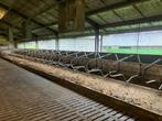 Ligboxen Spinder Profit 216 Stalinrichting, Dieren en Toebehoren