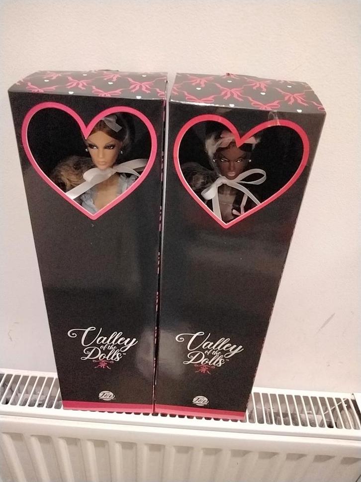 Valley of the Dolls - Twee Prachtige Poppen, Verzamelen, Poppen, Zo goed als nieuw, Overige typen, Ophalen of Verzenden