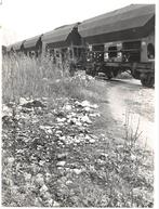 Gouda station treinwagons rijden langs afval Originele foto, Verzamelen, Foto's en Prenten, Natuur, Foto, Ophalen of Verzenden