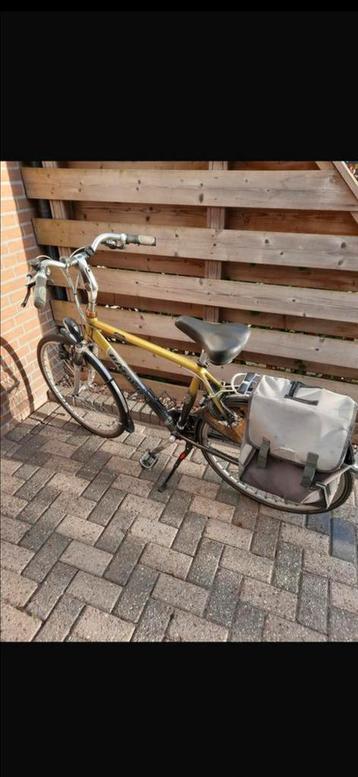 Batavus hetem fiets maat 53 beschikbaar voor biedingen