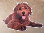 Hema shaped puzzel 420 stukjes Hond, Ophalen of Verzenden, Minder dan 500 stukjes, Zo goed als nieuw, Legpuzzel
