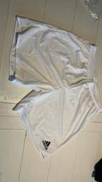 Nieuwe witte Adidas sportbroek, Kleding | Heren, Maat 52/54 (L), Wit, Nieuw, Ophalen of Verzenden
