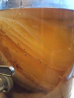 Kombucha SCOBY, Ophalen of Verzenden, Overige typen