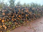 haardhout van fruitbomen (appel), 6 m³ of meer, Ophalen, Overige houtsoorten, Stammen