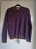 Kocca jeans sweater paars maat M, Maat 38/40 (M), Paars, Kocca jeans, Ophalen of Verzenden