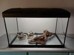 Aquarium, bak compleet, 60x30x35cm, Ophalen, Leeg aquarium