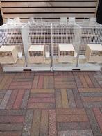 Broedkooi compleet, Dieren en Toebehoren, Ophalen, Gebruikt, Metaal, Vogelkooi