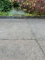 Gratis tegel 60x60x6 ; zelf verwijderen, Tuin en Terras, Tegels en Klinkers, Ophalen, Gebruikt, 10 m² of meer, Beton