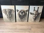 Displate Set van 3 dieren - Super Staat!, Ophalen of Verzenden, Zo goed als nieuw, Print, 50 tot 75 cm
