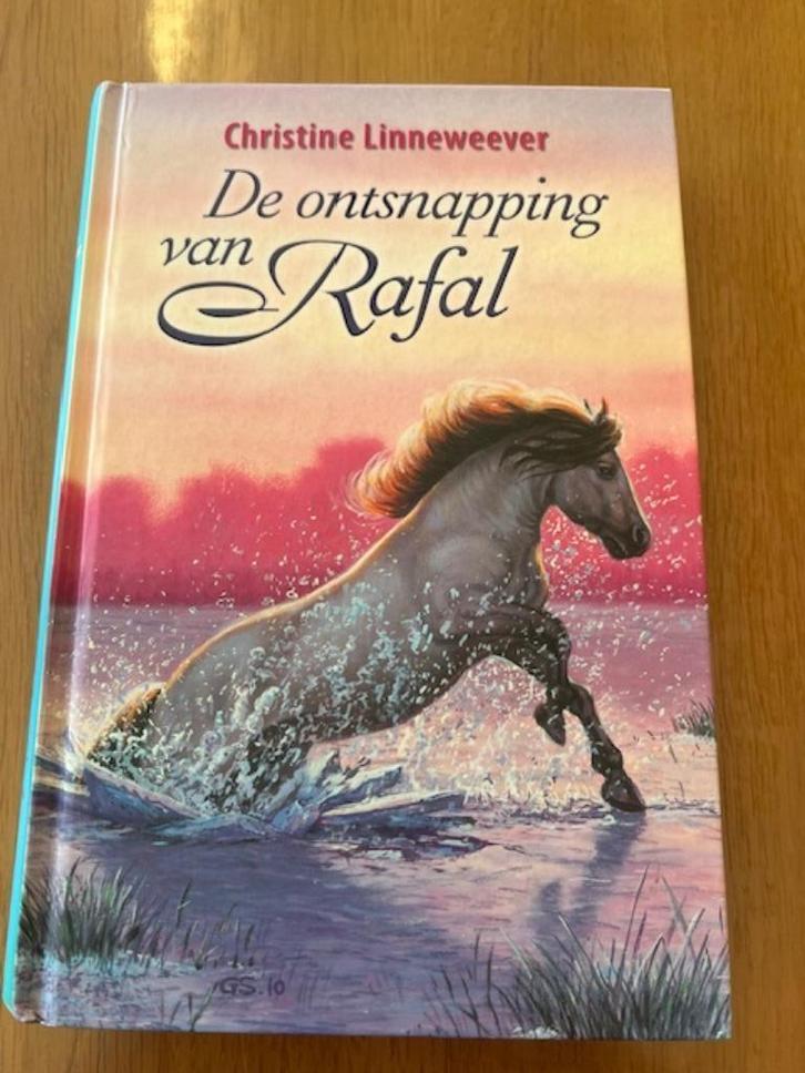Christine Linneweever - De ontsnapping van Rafal, Boeken, Kinderboeken | Jeugd | 10 tot 12 jaar, Nieuw, Ophalen of Verzenden