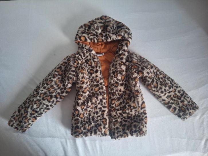 Dirkje Jasje Maat 110 Meisje - Luipaardprint, Kinderen en Baby's, Kinderkleding | Maat 110, Gebruikt, Meisje, Jas, Ophalen of Verzenden
