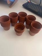 55 kleine kweekpotjes, Ophalen of Verzenden, Zo goed als nieuw, Kweekbak