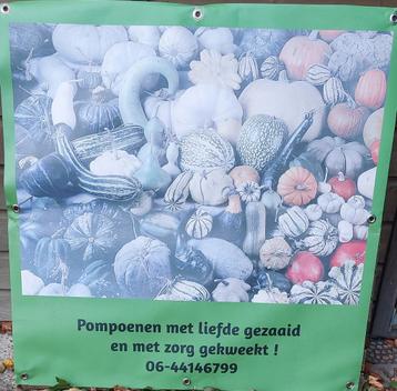 Pompoenen beschikbaar voor biedingen