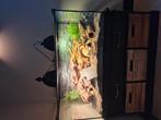 Terrarium 90 x 45 x 45, Dieren en Toebehoren, Reptielen en Amfibieën | Toebehoren, Ophalen of Verzenden, Gebruikt, Terrarium of Paludarium