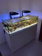 Zeeaquarium, inclusief techniek en levende have!, Ophalen