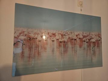 Flamingo Schilderij op Glas beschikbaar voor biedingen