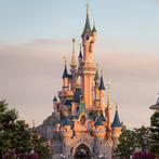 2 kaarten 23 november Disneyland Parijs, Tickets en Kaartjes, Twee personen, Ticket of Toegangskaart