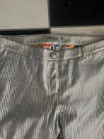 Janice zilveren pak met voering, Ophalen of Verzenden, Zo goed als nieuw, Maat 46/48 (XL) of groter