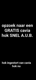 Cavia hok nodig snel aub!!!!!!!, Dieren en Toebehoren, Ophalen, Nieuw, Overige typen
