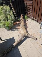 Hele boomstam, Tuin en Terras, Haardhout, Minder dan 3 m³, Ophalen, Overige houtsoorten, Blokken