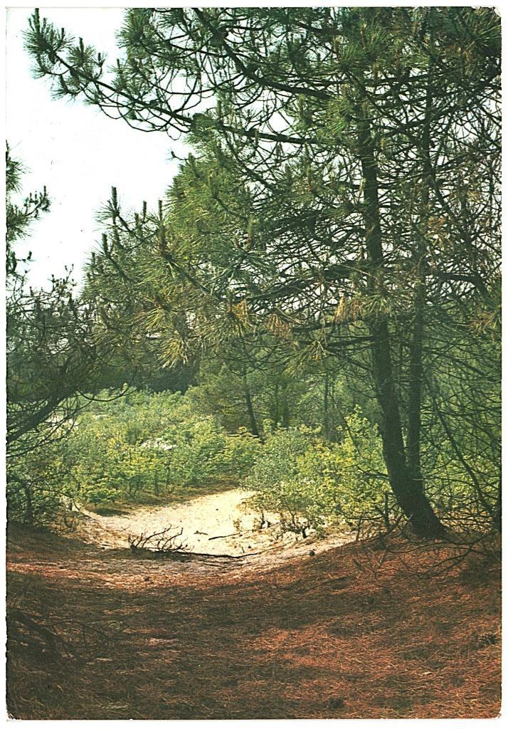 910104 Texel 1974 Gelopen met Postzegel, Verzamelen, Ansichtkaarten | Nederland, Gelopen, Waddeneilanden, 1960 tot 1980, Ophalen of Verzenden