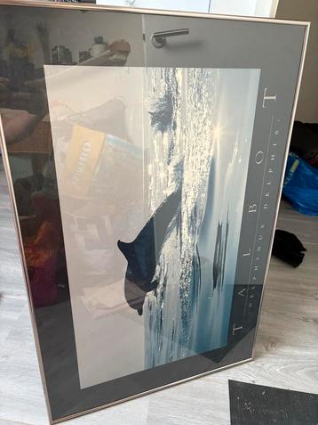 Talbot Delphinus Delphis Ingelijste Poster - Zilverkleurig beschikbaar voor biedingen