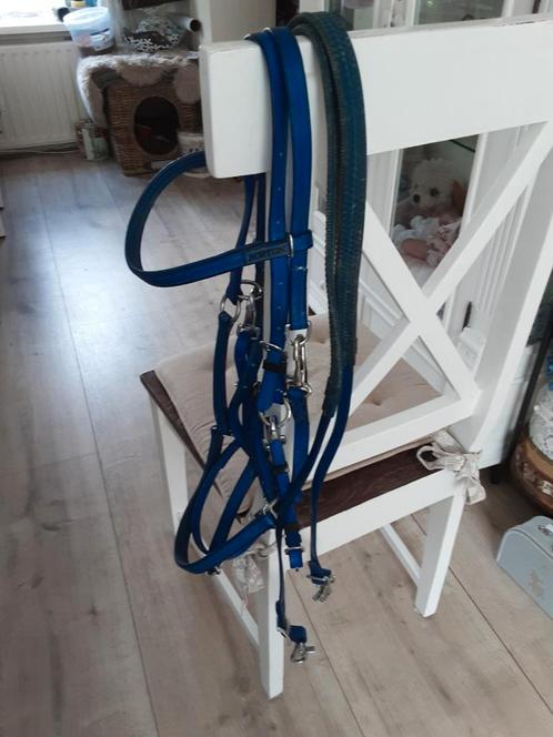 Norton halsterhoofdstel Full., Dieren en Toebehoren, Paarden en Pony's | Hoofdstellen en Tuigage, Gebruikt, Ophalen of Verzenden