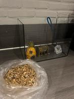 Aquarium/vissenkom incl decoratie, Dieren en Toebehoren, Vissen | Aquaria en Toebehoren, Ophalen, Zo goed als nieuw, Leeg aquarium
