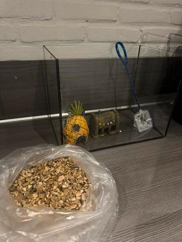 Aquarium/vissenkom incl decoratie beschikbaar voor biedingen
