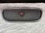 Jaguar XE grille, Ophalen of Verzenden, Jaguar, Bumper