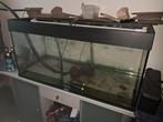 Aquarium juwel  1m    50h  40 b, Ophalen, Gebruikt