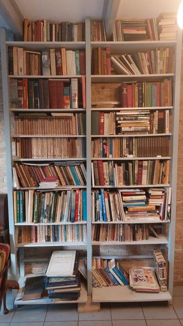 Boekenpakket: Geschiedenis, Romans, Kunst beschikbaar voor biedingen