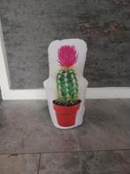 Deurstopper cactus, Huis en Inrichting, Ophalen of Verzenden, Zo goed als nieuw, Binnen