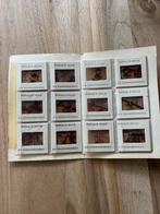 Kodak Color Slides - Boze Wolf + Donald Duck, Antiek en Kunst, Antiek | Speelgoed, Ophalen of Verzenden