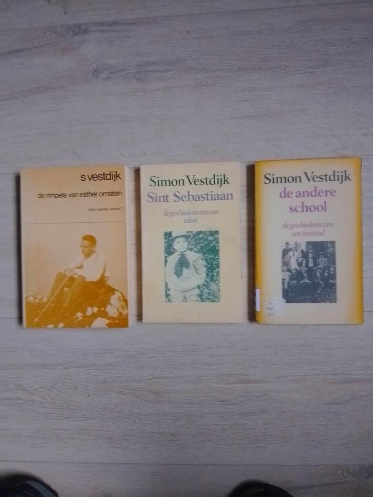 Simon Vestdijk, Boeken, Literatuur, Gelezen, Nederland, Ophalen of Verzenden