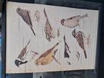 Oude canvas afdruk met vogels, Huis en Inrichting, Ophalen, Zo goed als nieuw, Schilderij, 50 tot 75 cm