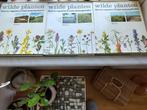 Wilde planten 3 delig prof. v. Westhoff, Boeken, Gelezen, Bloemen, Planten en Bomen, Westhoff, Bakker e.a., Ophalen of Verzenden