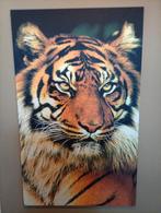Canvas Tijger Groot, 125 cm of meer, Ophalen of Verzenden, 75 cm of meer, Print