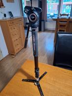 Cayer AF34DV monopod camerastatief, Ophalen, Cayer, Cayer, Eenpoot