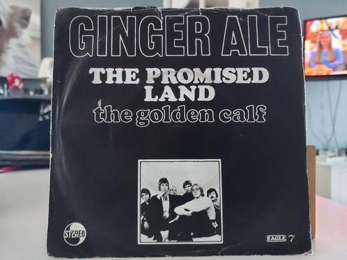 7" Single Ginger Ale - The Promised Land / The Golden Calf, Cd's en Dvd's, Vinyl Singles, Gebruikt, Single, Pop, 7 inch, Verzenden