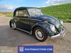 Volkswagen Beetle cabriolet | 1962 | Route 66 Auctions, Overige carrosserieën, Volkswagen, Zwart, Bedrijf