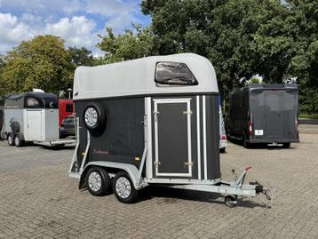 Hotra Salinero 1,5 Paards Trailer 1300Kg beschikbaar voor biedingen