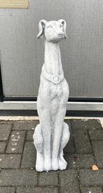 Hazewindhond van beton., Ophalen, Kunstverkoop, Nieuw, Kunstverkoop