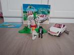 Playmobil 6871 Trouwpartij, Complete set, Ophalen of Verzenden, Zo goed als nieuw