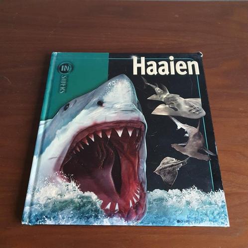 Beverly MacMillan - Haaien, Boeken, Kinderboeken | Jeugd | onder 10 jaar, Zo goed als nieuw, Ophalen of Verzenden