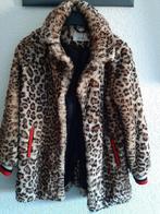 Jas voor de vastenavend / carnaval, Ophalen of Verzenden, Gebruikt, 158 t/m 164, Meisje