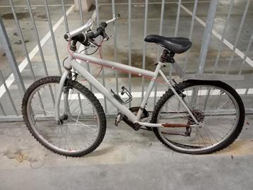 Mountainbike - Achterband aandacht nodig beschikbaar voor biedingen